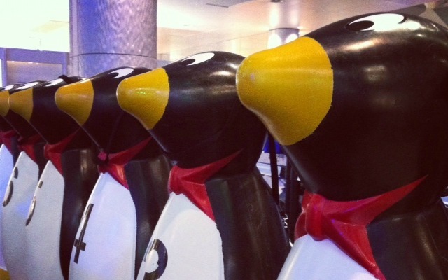 penguins