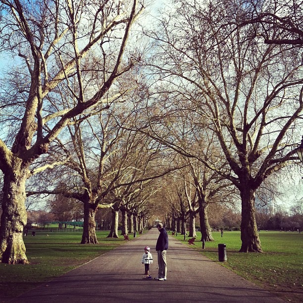 Battersea park avenue A tree lined avenue in Battersea Park