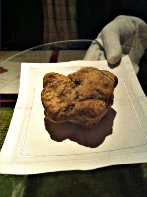 Presentation of the truffle