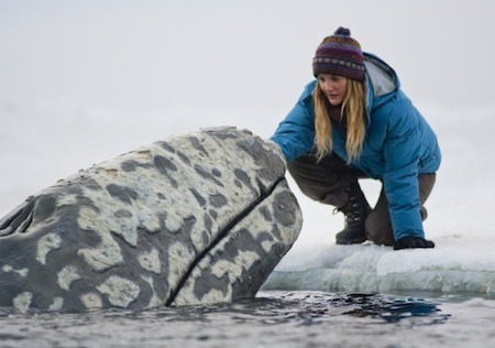 Drew Barrymore in Big Miracle