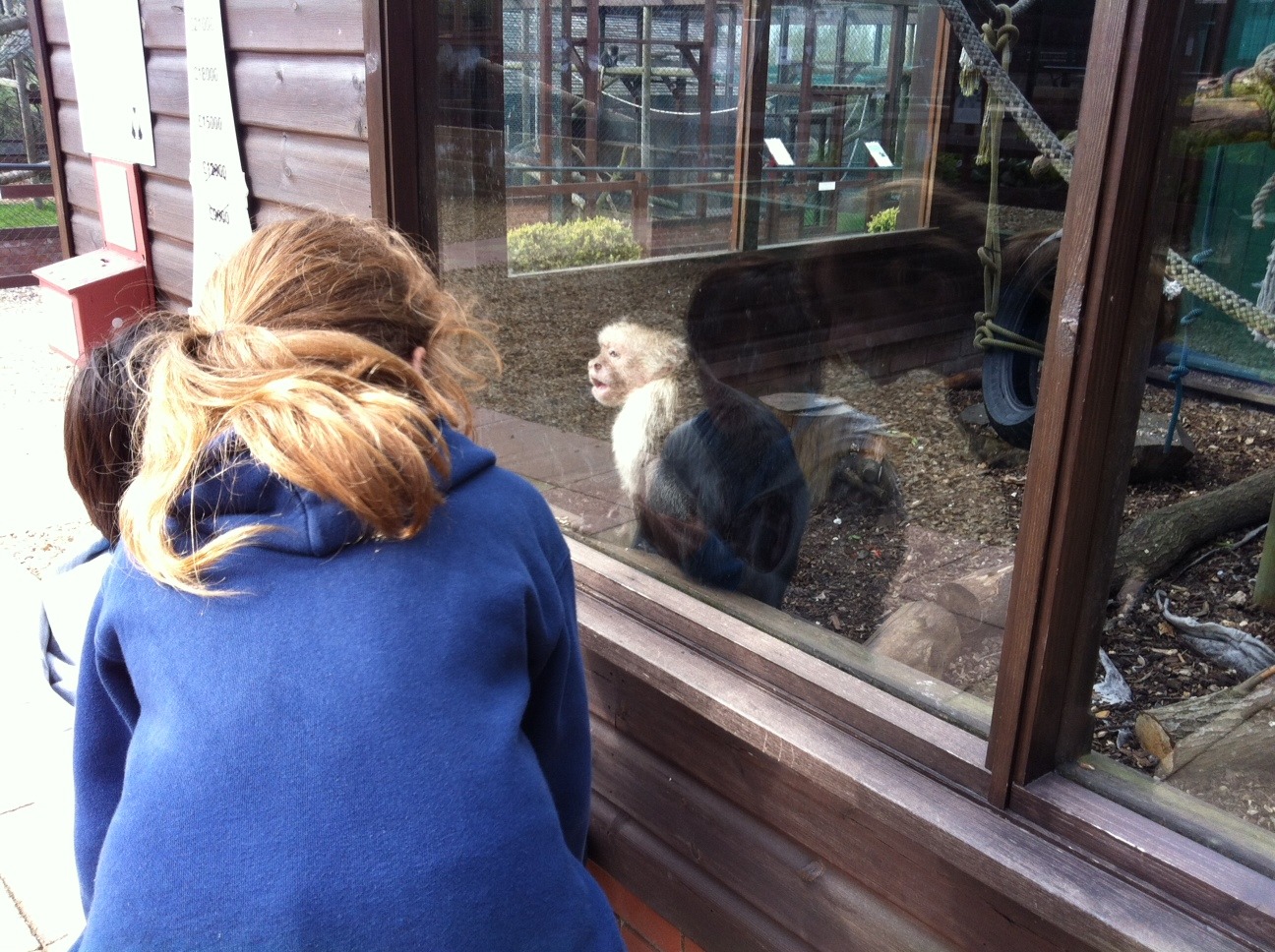The Owl & Monkey Sanctuary