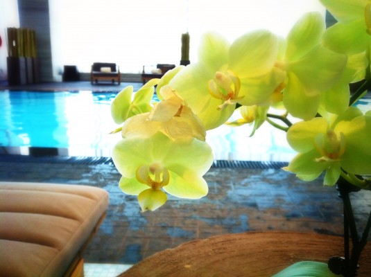 Four Seasons Toronto swimming pool