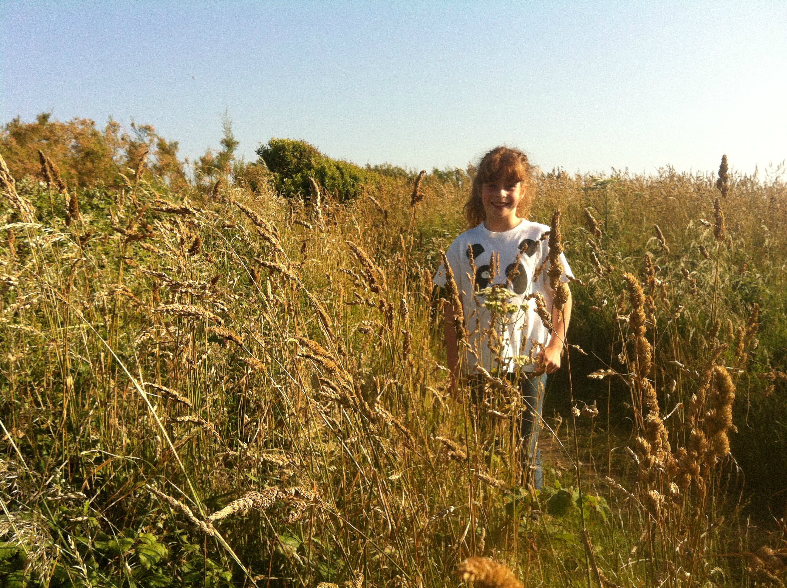 amid the tall grass