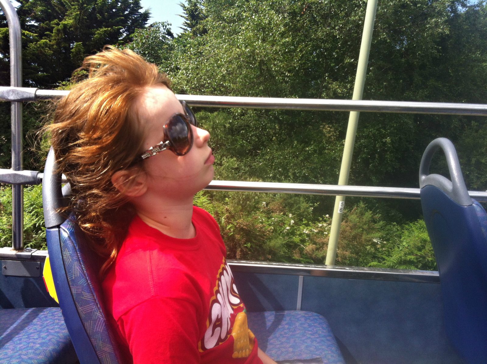 on the open-topped New Forest bus