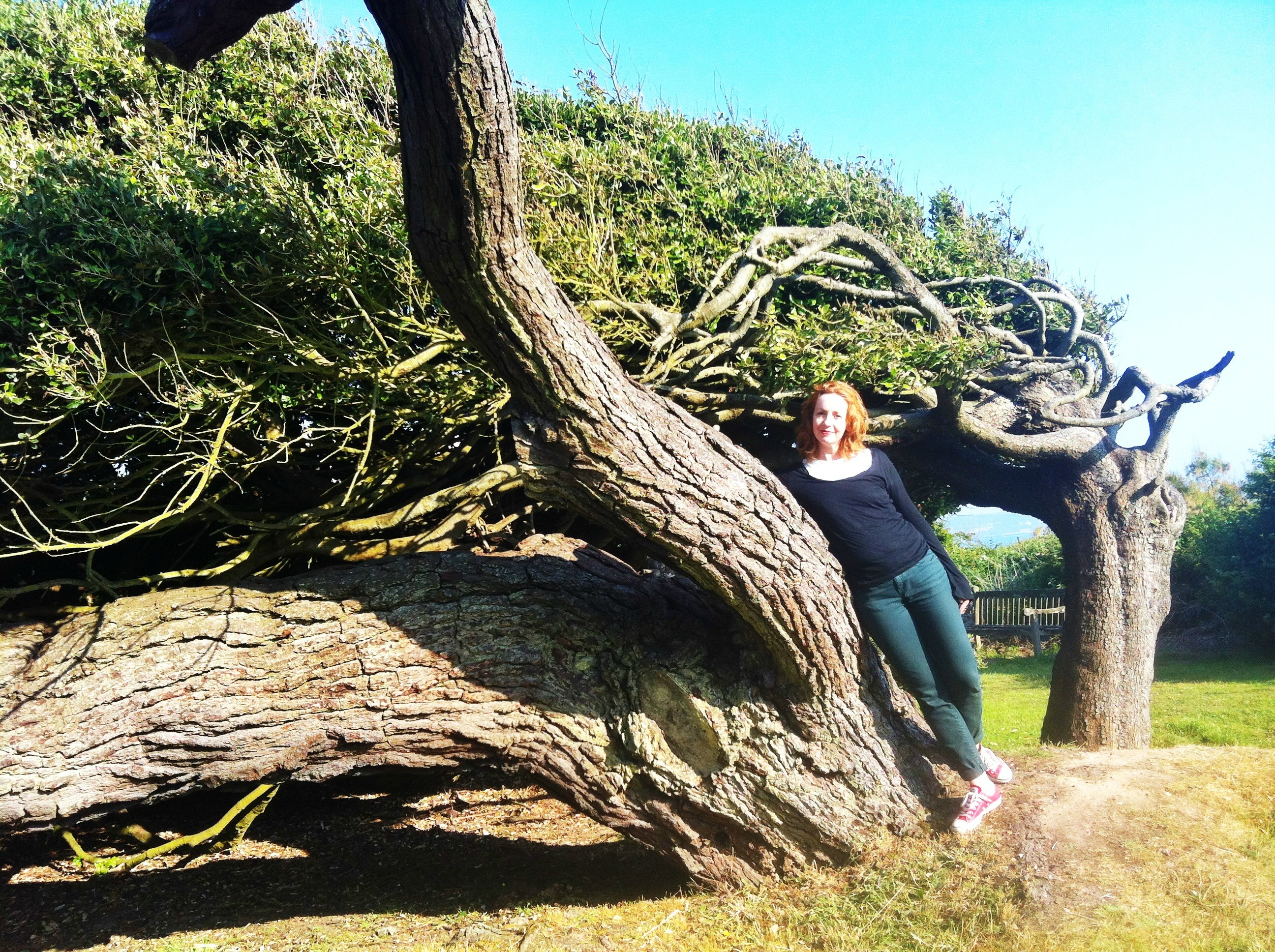 me with tree