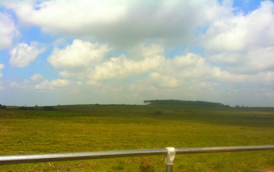 view from the bus