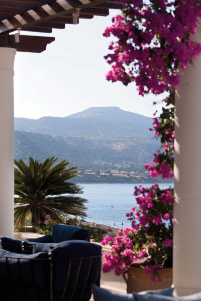 anassa 1-23-19