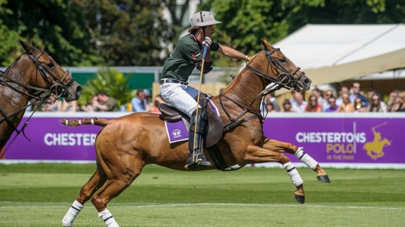 Polo in the Park pony