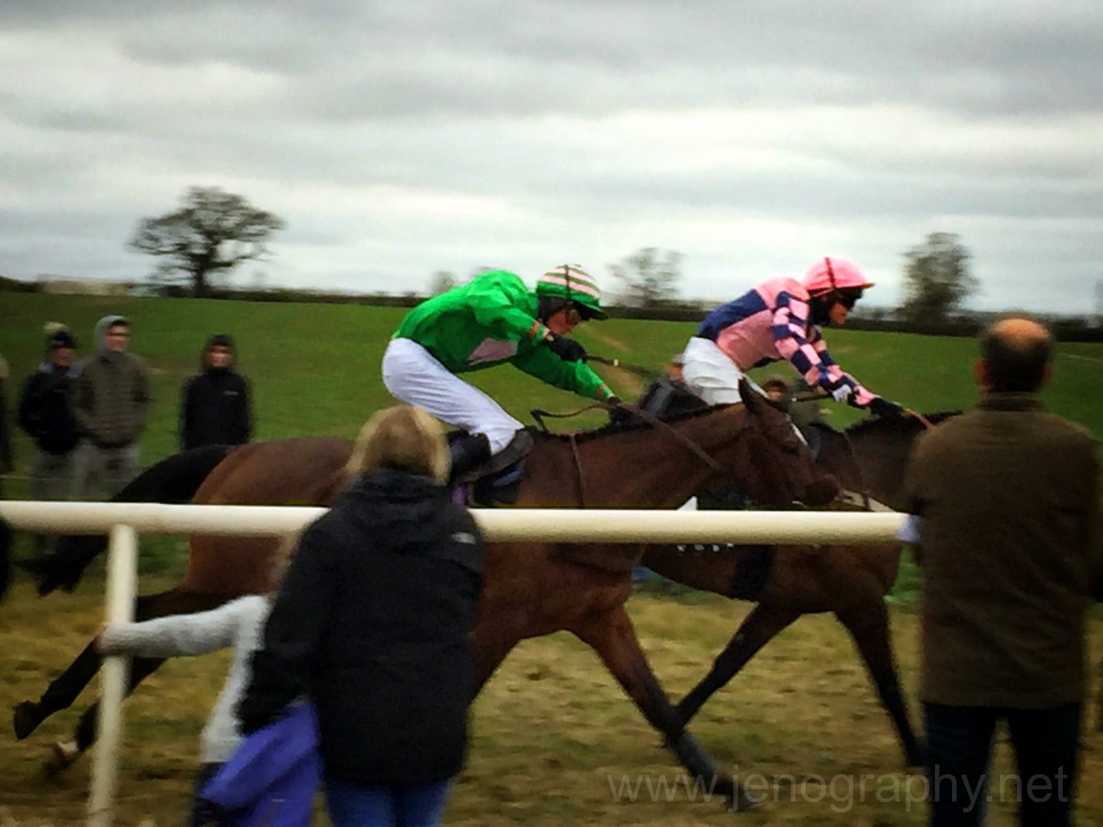 jockeys on horses on Jenography.net