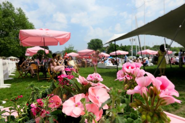 Closeup of flowers at Polo in the Park on Jenography