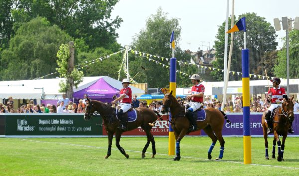 Polo ponies at Polo in the Park