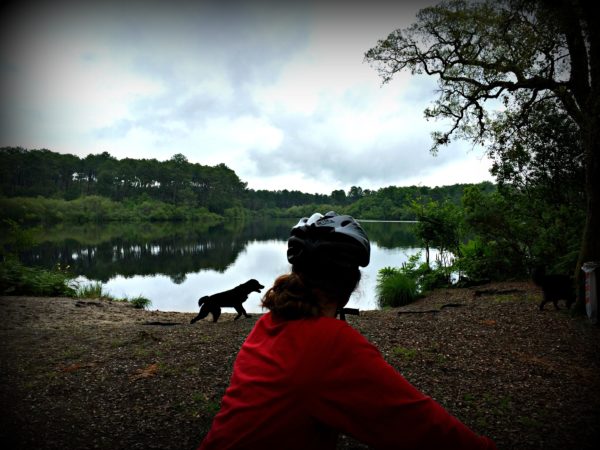 cycling in Moliet