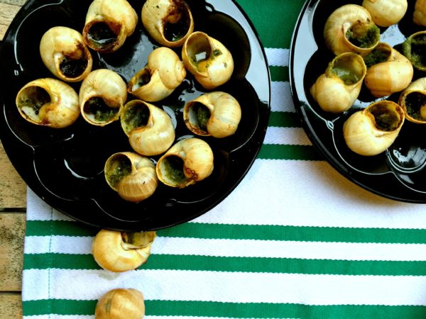 escargot in Moliets, Aquitaine, France