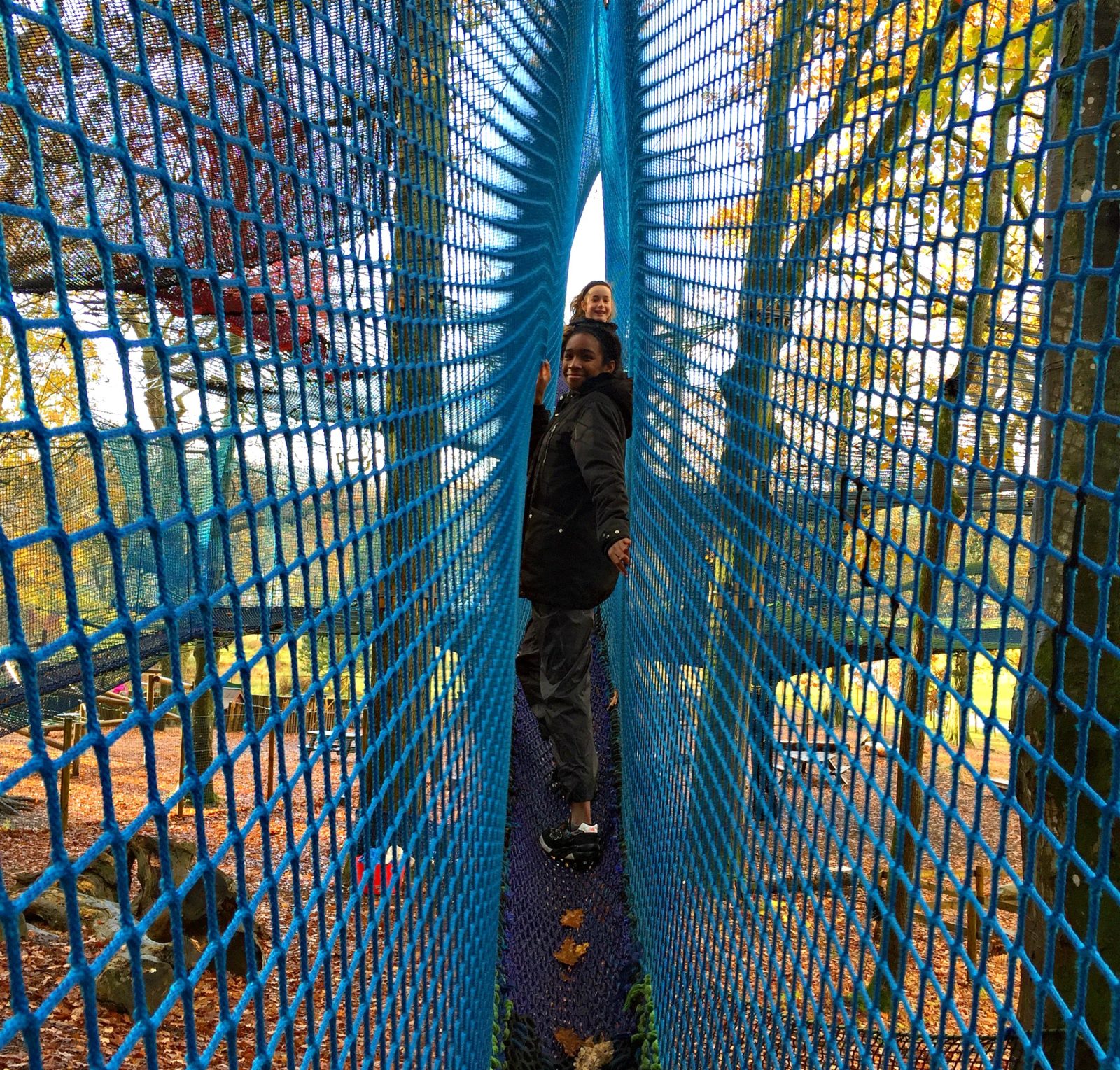 skinny nets at Treetop Nets Windermere