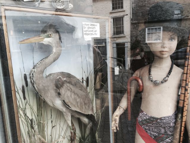 shop in Hay on Wye