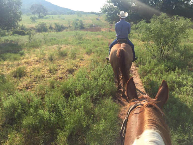 on a horse at Wildcatter Ranch, Graham
