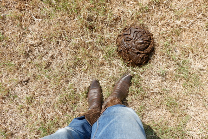 boots with cowpat