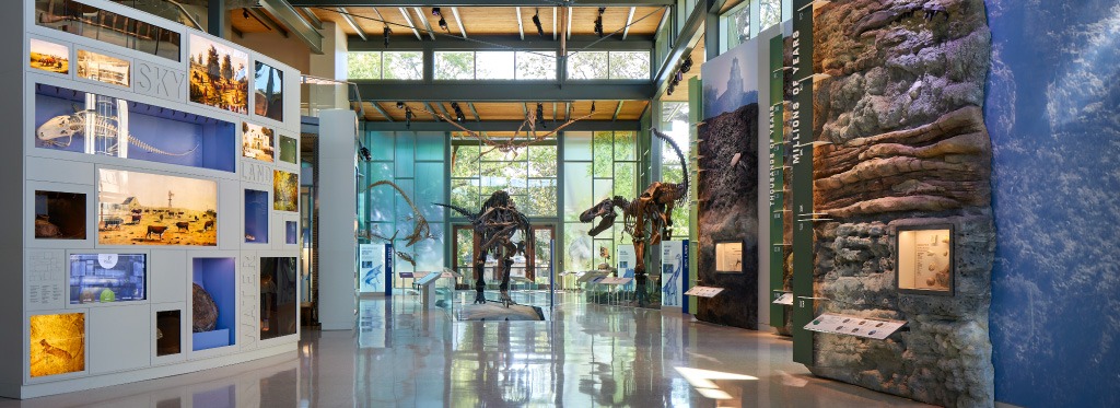 Witte Museum dino gallery - Jenography
