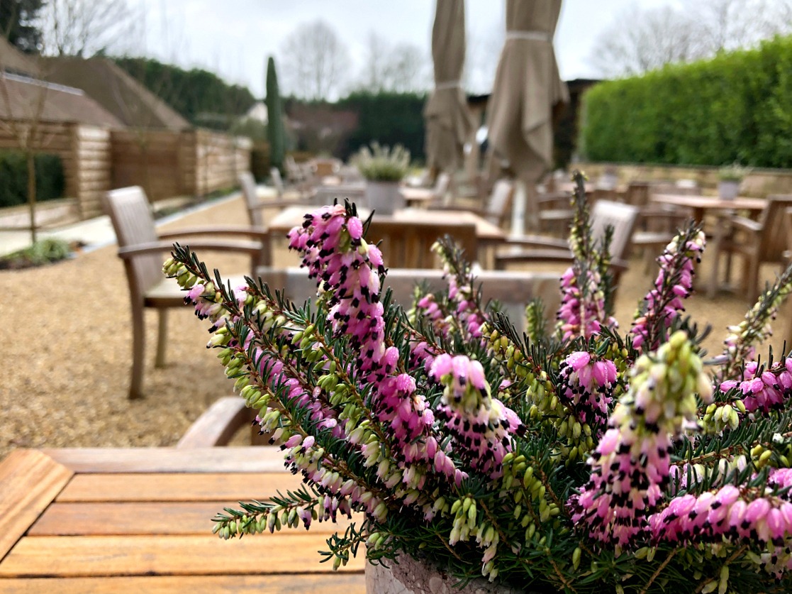 Hurley House Hotel garden