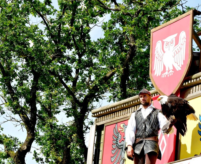 handler with bird at Puy du Fou on Jenography
